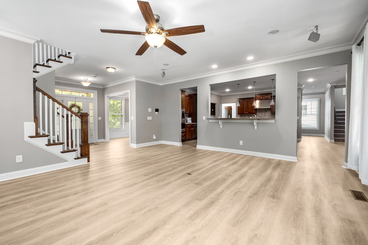 Whole House Renovation