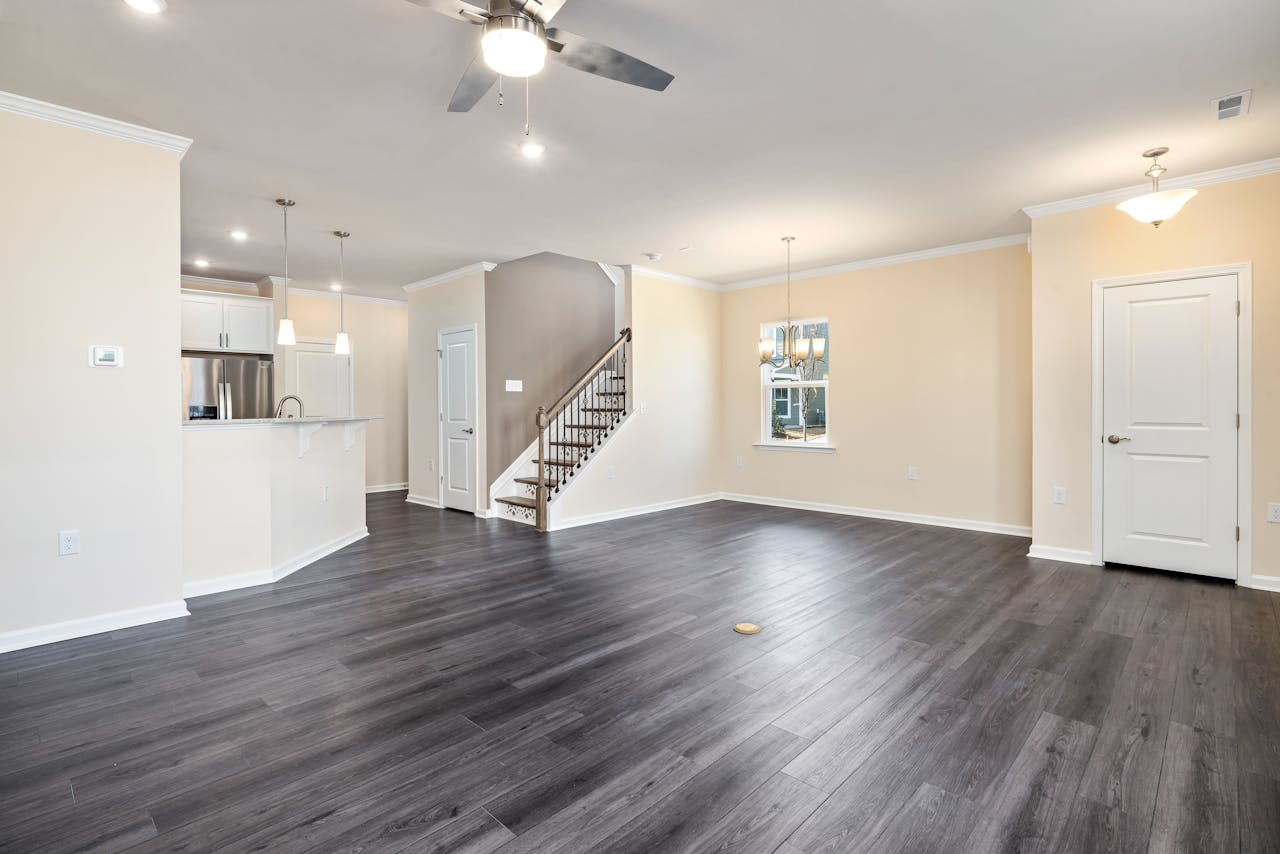 Whole House Renovation