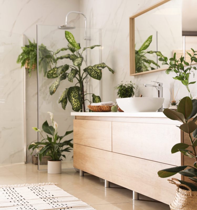 Beautiful green plants in elegant modern bathroom. Interior design