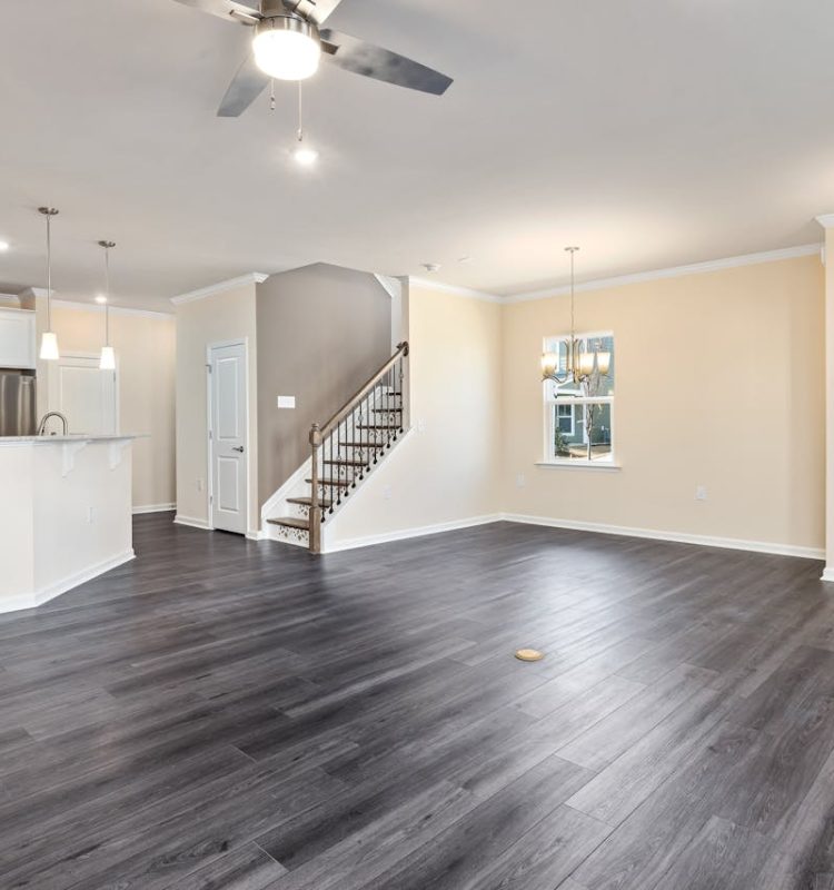 Whole House Renovation