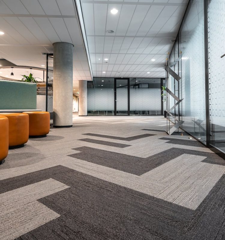 pexels-mike-van-schoonderwalt-1884800-5511130