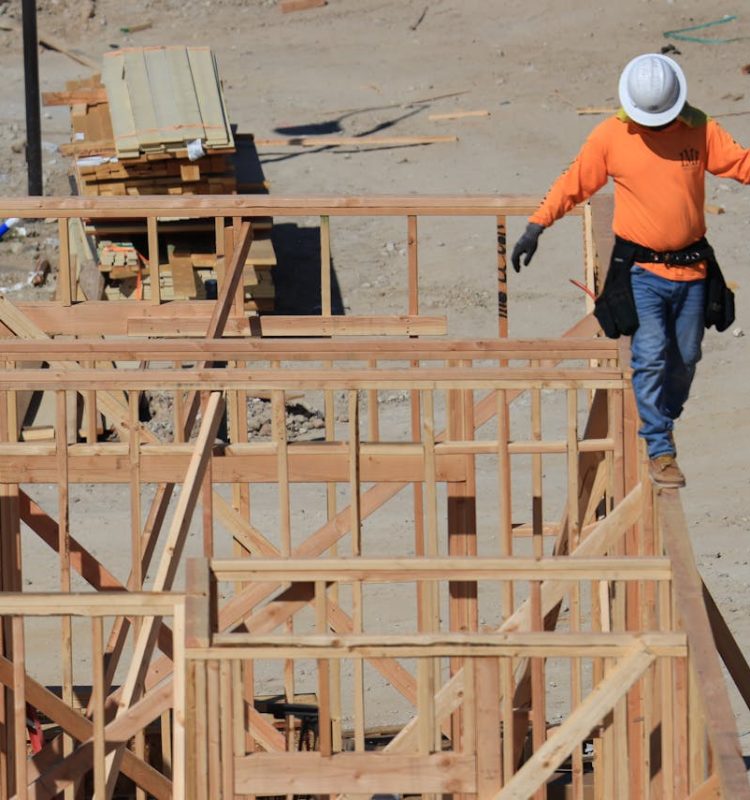 pexels-ninobur-17410518