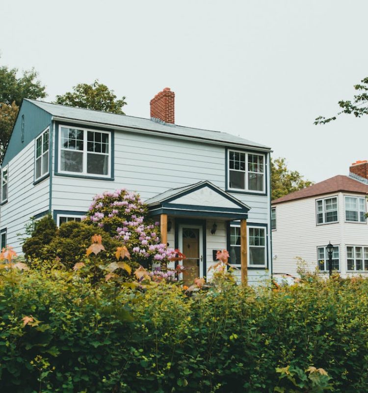 pexels-theshuttervision-8811452